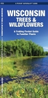 Wisconsin Trees & Wildflowers: A Folding Pocket Guide to Familiar Plants (Pocket Naturalist Guide) By James Kavanagh, Waterford Press, Raymond Leung (Illustrator) Cover Image