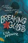 Breaking Glass By Lisa Amowitz Cover Image