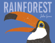 Rainforest 8x8 Edition By Julia Groves (Illustrator) Cover Image