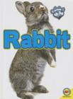 Rabbit (Caring for My Pet) Cover Image
