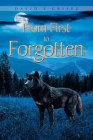 From First to Forgotten By David E. Griséz Cover Image