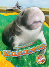 Manatees (Animals at Risk) Cover Image