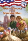 Capital Mysteries #14: Turkey Trouble on the National Mall By Ron Roy, Timothy Bush (Illustrator) Cover Image