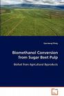 Biomethanol Conversion from Sugar Beet Pulp Cover Image