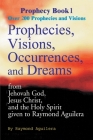 Prophecies, Visions, Occurences, and Dreams: From Jehovah God, Jesus Christ, and the Holy Spirit (Prophecy Books #1) Cover Image