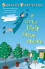 A Little Help from Above By Saralee Rosenberg Cover Image
