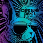 Cosmic Bunny Cosmo B. By Om Wolf Cover Image