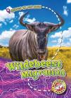 Wildebeest Migration (Animals on the Move) By Kari Schuetz Cover Image