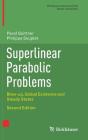 Superlinear Parabolic Problems: Blow-Up, Global Existence and Steady States Cover Image