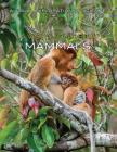 A Visual Guide to Mammals (Visual Exploration of Science) Cover Image