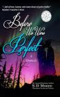 Before We Were Perfect By S. D. Moore Cover Image