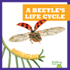 A Beetle's Life Cycle (Life Cycles) By Jamie Rice Cover Image