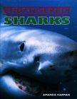 Sharks (Endangered!) By Casey Horton Cover Image