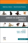 Cancer in Companion Animals, an Issue of Veterinary Clinics of North America: Small Animal Practice: Volume 49-5 (Clinics: Veterinary Medicine #49) By Philip J. Bergman, Craig Clifford Cover Image