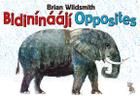 Brian Wildsmith's Opposites (Navajo/English) Cover Image