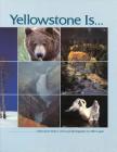 Yellowstone Is By Mike Logan Cover Image