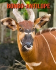 Bongo-Antilope: Erstaunliche Fakten & Bilder Cover Image