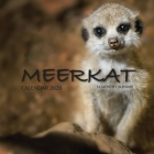 Meerkat Calendar 2020: 16 Month Calendar By Golden Print Cover Image