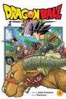 Dragon Ball Super, Vol. 6 By Akira Toriyama, Toyotarou (Illustrator) Cover Image