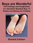 Boys are Wonderful: The Feelings and Imagination of a Sensitive Barefoot Boy 13: Poetry and Stories for Children By Richard Carlson Cover Image