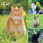 Cat Lovers 2024 Square Foil By Browntrout (Created by) Cover Image
