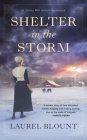 Shelter in the Storm (A Johns Mill Amish Romance #1) Cover Image