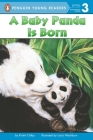 A Baby Panda Is Born (Penguin Young Readers, Level 3) By Kristin Ostby, Lucia Washburn (Illustrator) Cover Image