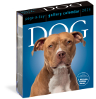 Dog Page-A-Day Gallery Calendar 2023 By Workman Calendars Cover Image
