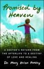 Promised by Heaven: A Doctor's Return from the Afterlife to a Destiny of Love and Healing By Mary Helen Hensley Cover Image
