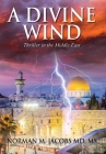 A Divine Wind: Taming a Tornado Anticipating a Trillion Dollar Disruptive Technology A Vision of Peace in the Middle East An Allegory By Norman M. Jacobs Cover Image