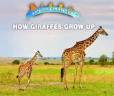 How Giraffes Grow Up By Linda Bozzo Cover Image
