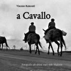 a Cavallo: Fotografie: gli ultimi muli delle Madonie Cover Image