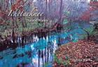 Ichetucknee: Sacred Waters By Steven Earl Cover Image