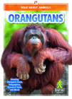 Orangutans By Renata Marie Cover Image