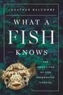 What a Fish Knows: The Inner Lives of Our Underwater Cousins Cover Image