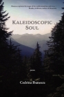 Kaleidoscopic Soul: poems By Codrina Ibanescu Cover Image