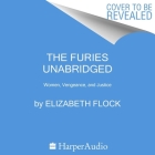 The Furies: Women, Vengeance, and Justice By Elizabeth Flock, Mia Hutchinson-Shaw (Read by), Jean Ann Douglass (Read by) Cover Image