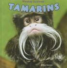 Tamarins (Monkey Business) By Gillian Houghton Gosman Cover Image