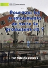 Why Do Earthquakes Happen? - Pourquoi les tremblements de terre se produisent-ils ? By Natasha Vizcarra Cover Image