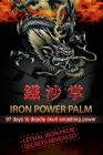 Iron Power Palm: 97 days to skull smashing power Cover Image