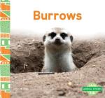 Burrows (Animal Homes) By Julie Murray Cover Image