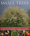 Small Trees Cover Image