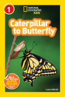 National Geographic Readers: Caterpillar to Butterfly By Laura Marsh Cover Image