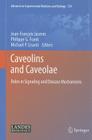 Caveolins and Caveolae: Roles in Signaling and Disease Mechanisms (Advances in Experimental Medicine and Biology #729) By Jean-François Jasmin (Editor), Philippe Frank (Editor), Michael P. Lisanti (Editor) Cover Image