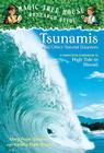 Tsunamis and Other Natural Disasters: A Nonfiction Companion to High Tide in Hawaii Cover Image
