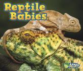 Reptile Babies (Animal Babies) By Catherine Veitch Cover Image