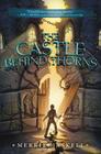 The Castle Behind Thorns By Merrie Haskell Cover Image