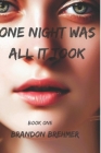 One night was all it took By Brandon Brehmer Cover Image