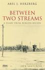 Between Two Streams: A Diary from Bergen-Belsen By Abel J. Herzberg, Jack Santcross (Translator) Cover Image
