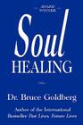 Soul Healing By Bruce Goldberg Cover Image